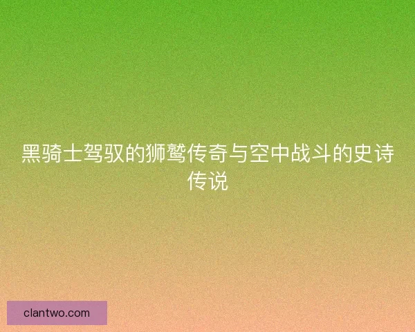 黑骑士驾驭的狮鹫传奇与空中战斗的史诗传说