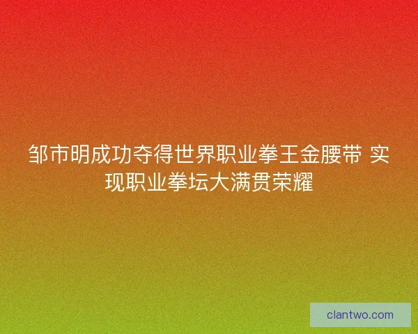 邹市明成功夺得世界职业拳王金腰带 实现职业拳坛大满贯荣耀 邹市明成功夺得世界职业拳王金腰带 实现职业拳坛大满贯荣耀