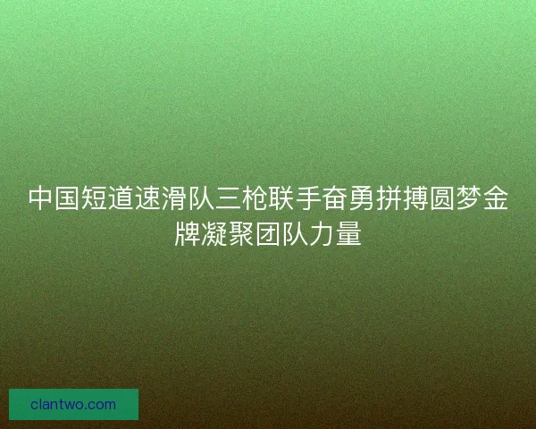 中国短道速滑队三枪联手奋勇拼搏圆梦金牌凝聚团队力量 中国短道速滑队三枪联手奋勇拼搏圆梦金牌凝聚团队力量